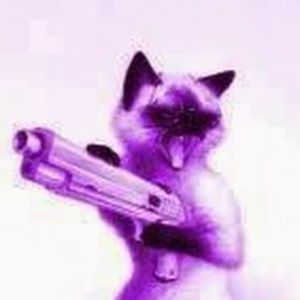 Meet your Posher, Janice